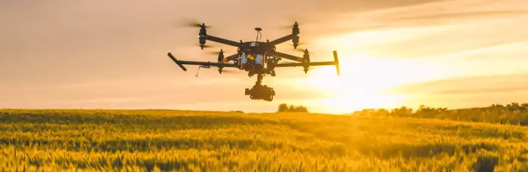 Harvestors in the field