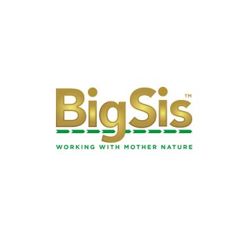 BigSis
